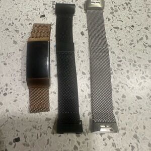 Fitbit with interchangeable metal bands